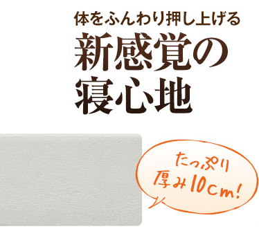 たっぷり10cm.png