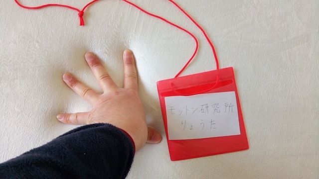 モットン反発力、ベロア生地、押す.jpg