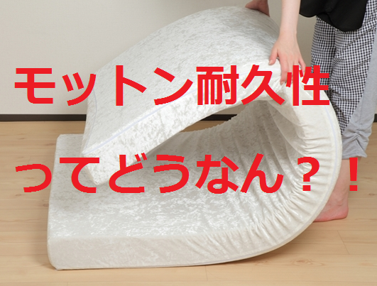 モットン耐久性どうなん.png